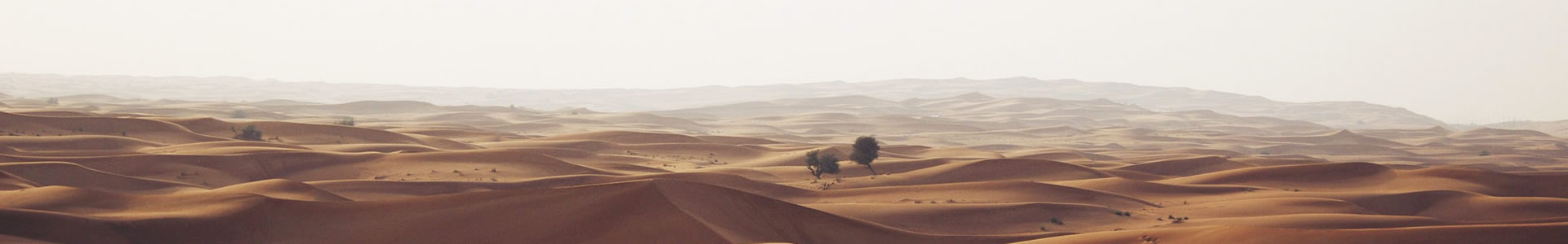 ɽٷؽĿƼ޹˾